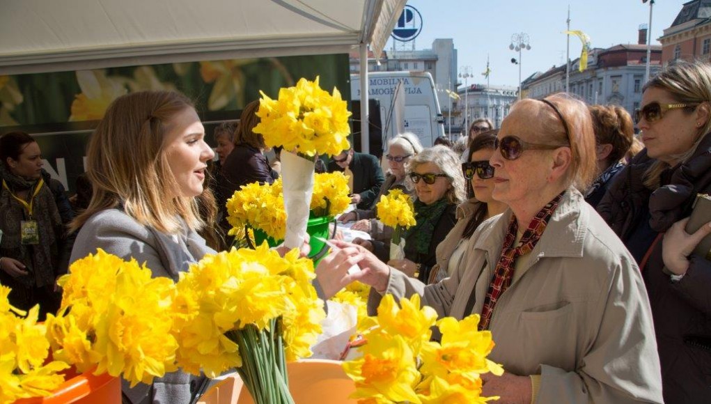 Dan narcisa - Zagreb, 2015.