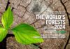 Stanje svjetskih šuma 2024.: Klimatske promjene, šumski požari i nametnici prijete šumama Stanje svjetskih šuma 2024