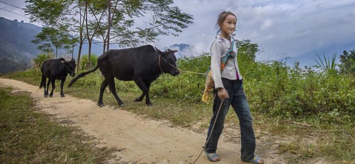 Svjetski dan borbe protiv dječjeg rada 2025.