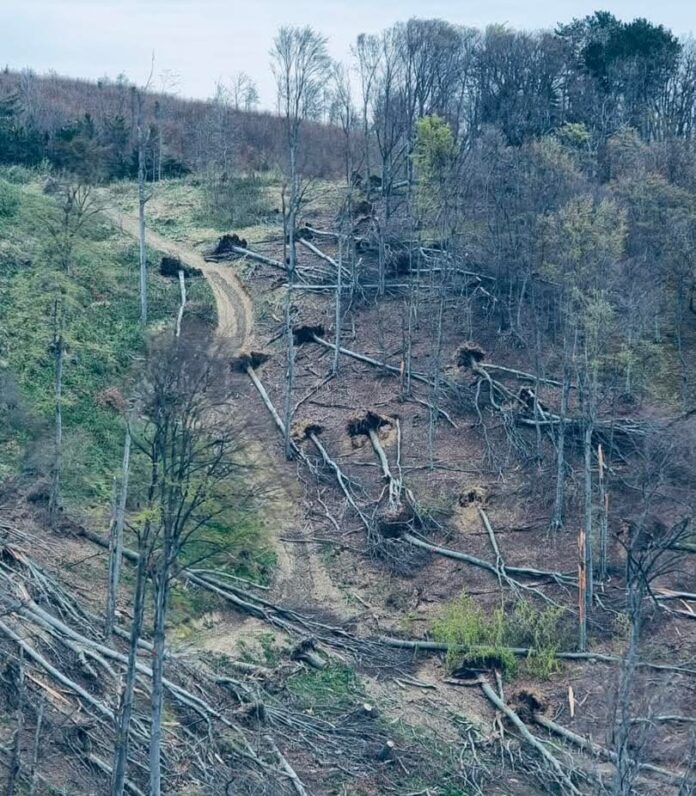 Medvednica i Zagreb 2026. – oluja ostavila porušena stabla.